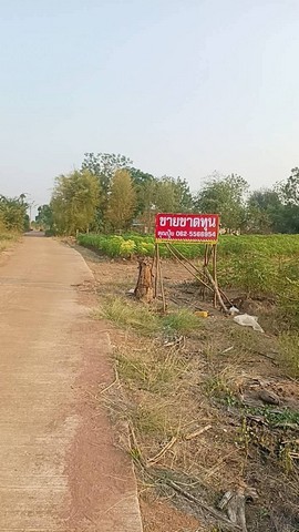 ขายที่ดินกาญจนบุรี ขายที่ด่านมะขามเตี้ยขายที่ดินติดทางสาธารณะ ที่ดินวิวภูเขา ต.กลอนโด อ.ด่านมะขามเตี้ย จ.กาญจนบุรี