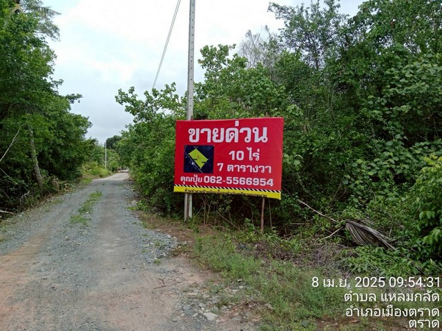 ขายที่ตราดที่เปล่าแหลมกลัดที่ใกล้ทะเลติดคลองสนห่างจากทะเล100เมตร ต.แหลมกลัด อ.เมืองตราด จ.ตราด ผังเมืองสีเขียว
