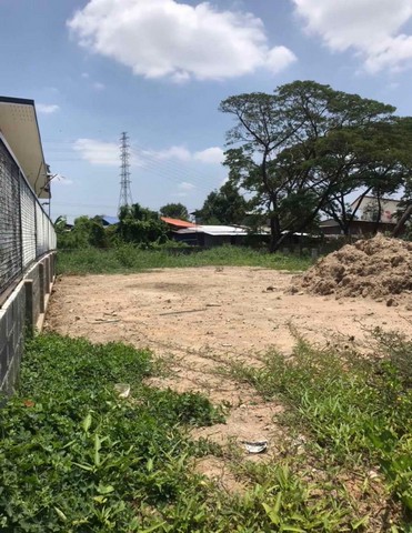 ขายที่ดิน 88 ตารางวา  ซอยพัฒนาการ 69 แยก 1/1     ใกล้โรงเรียนเตรียมอุดมศึกษาพัฒนาการ    ZT811 
