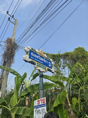 ที่ดิน - ราคาพิเศษ ปทุมธานี   